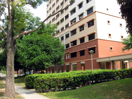 Blk 567 Hougang Street 51 (Hougang), HDB 4 Rooms #241862